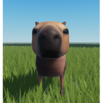 Official Capybara Studio