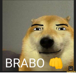 OS P|P|ZEIROS