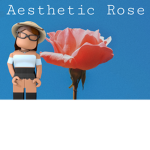 Aesthetic Rose YT