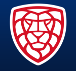 czech floorball league