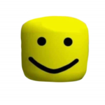 THE NOOBER