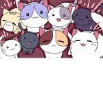 T.C.E The Cat Empire