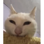 Cookie gxng