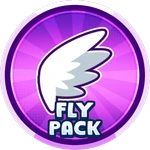Fly Pack