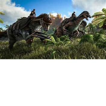 The Survival Mystory