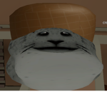 asdghjkl;.kjhgfd
