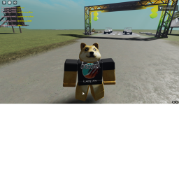 Doge Racing