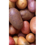 Potatoes are the best vegetable