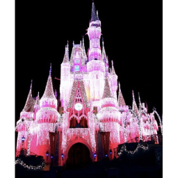 The Pink Squad castle! 🦋