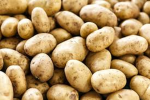 Potatoman's basement