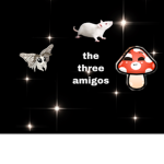 Cookie Run Kingdom! ((FAN GROUP))