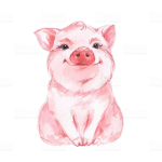Piggies can fly