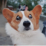 Sophie!!!