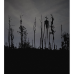 some cult thing