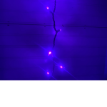•Purple Lights•