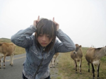 XBEI