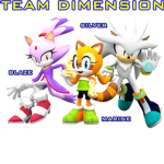 Team Dimensions Group