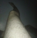 The Clan Of The Leg