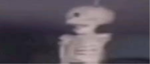 Skeletons At 3am