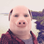 John Pork support team