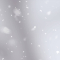 𝑵