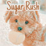 ʚ Sugar Rush ɞ