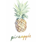 Pineapplegirls gaming official