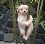 节省