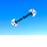 Erwin Gaming