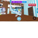 #########Adoptme