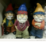 The Gnomies