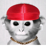(O$G) Oppa $toppa Gang