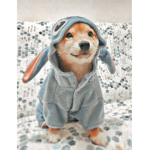 ~preppy_aesthetic~