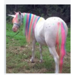 Galaxy horse heard