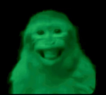 bobux whoa