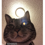 His name is Beiran