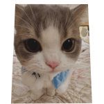 Tuff Cat Cape 