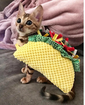 tacocata
