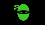Ninja bosses