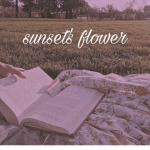 Sunsets flower