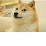 Doge Rule Club