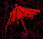 Entity camp