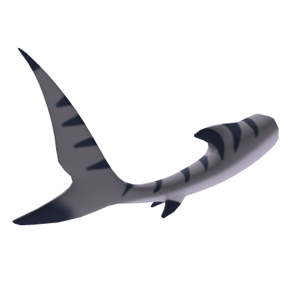 Grey Tiger Shark Tail