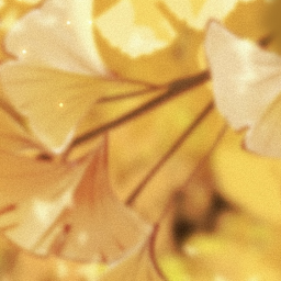 ∙