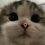 Gumball forever x