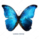 Butterfly squad<3