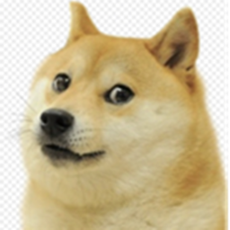 THE DOGE ORIGINAL CLAN