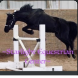Starlight Rescue Center