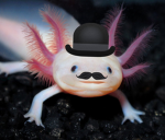 axolotl_person