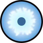 BloomBonds